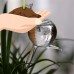 Creative Snail-Shape Automatic Glass Flower Watering Tool Gardening Accessories Size:6 * 11 * 24cm   